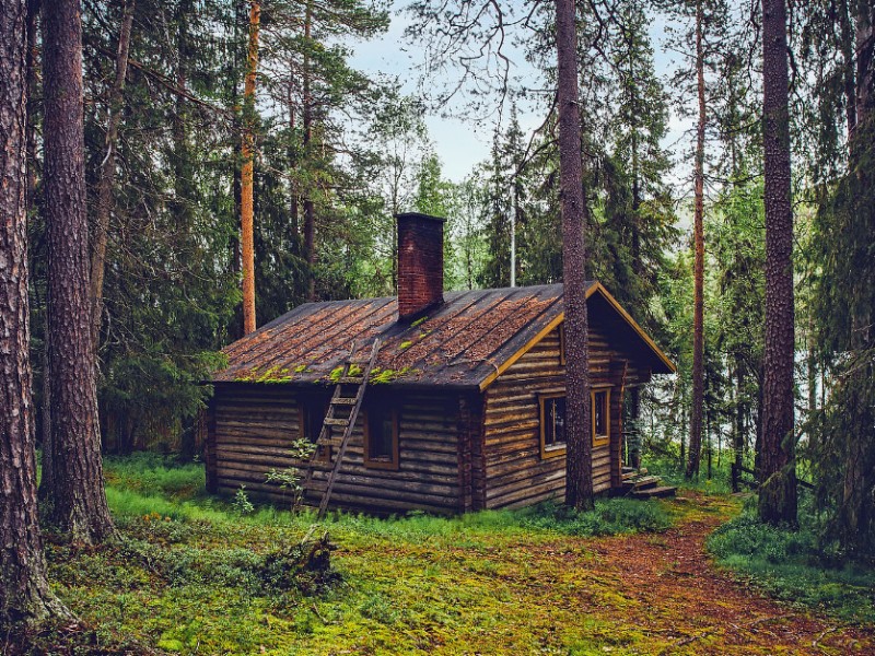 Pályázat tanulmányi kirándulás, erdei iskola, nyári táborok támogatására!